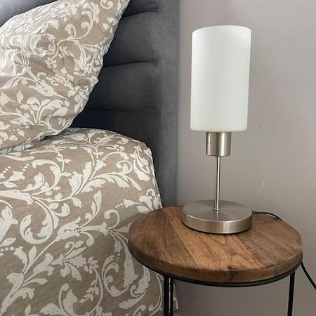 Saint-Martin-dʼHères Appartement Entier Climatise - Parking Prive מראה חיצוני תמונה